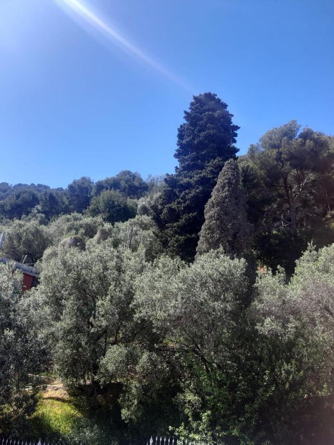 Villa Spectacular Sea View - 3 Minutes Walk From The Sea Laigueglia Exterior foto